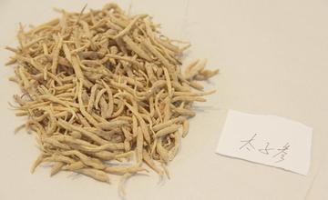 老年人常见病的中医防治与康复