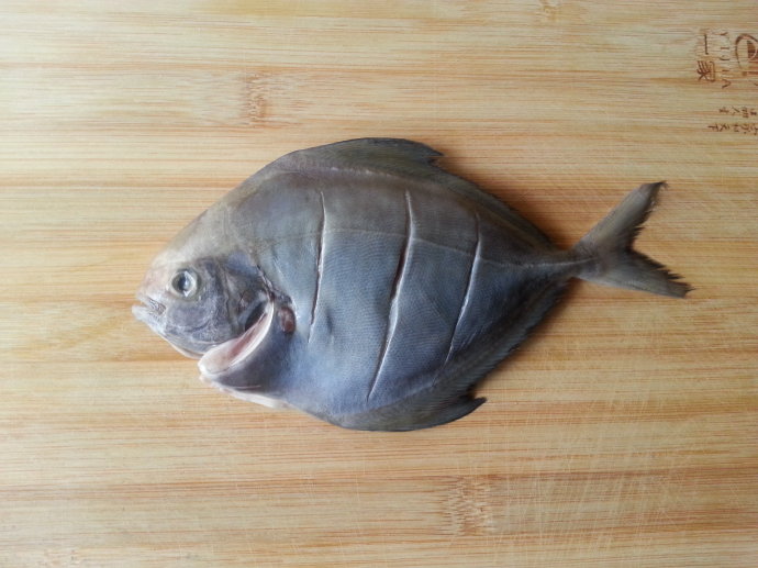 蒸小鲳鱼家常做法大全,油蒸斗鲳鱼