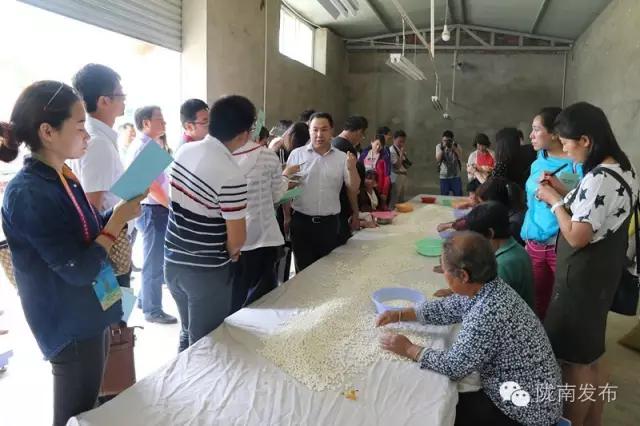 全国百家网媒齐聚陇南，他们去了哪儿？看了啥？