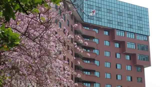 推荐5家性价比超高的酒店,全球必体验的99家酒店