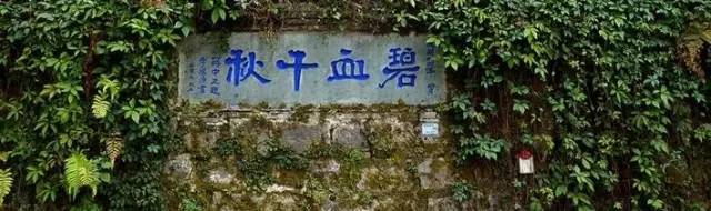 重走滇缅公路视频,纪念抗战胜利78周年重走滇缅公路