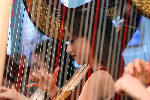 爱尔兰球迷反应,爱尔兰球迷感动世界