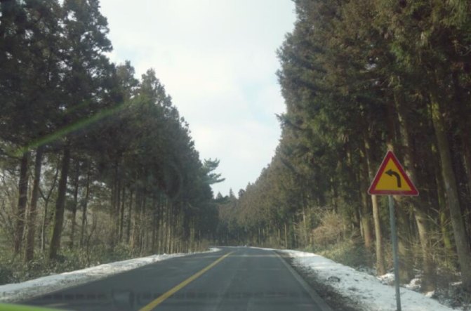 去济州岛旅游可以租车吗,济州岛租车需要什么手续