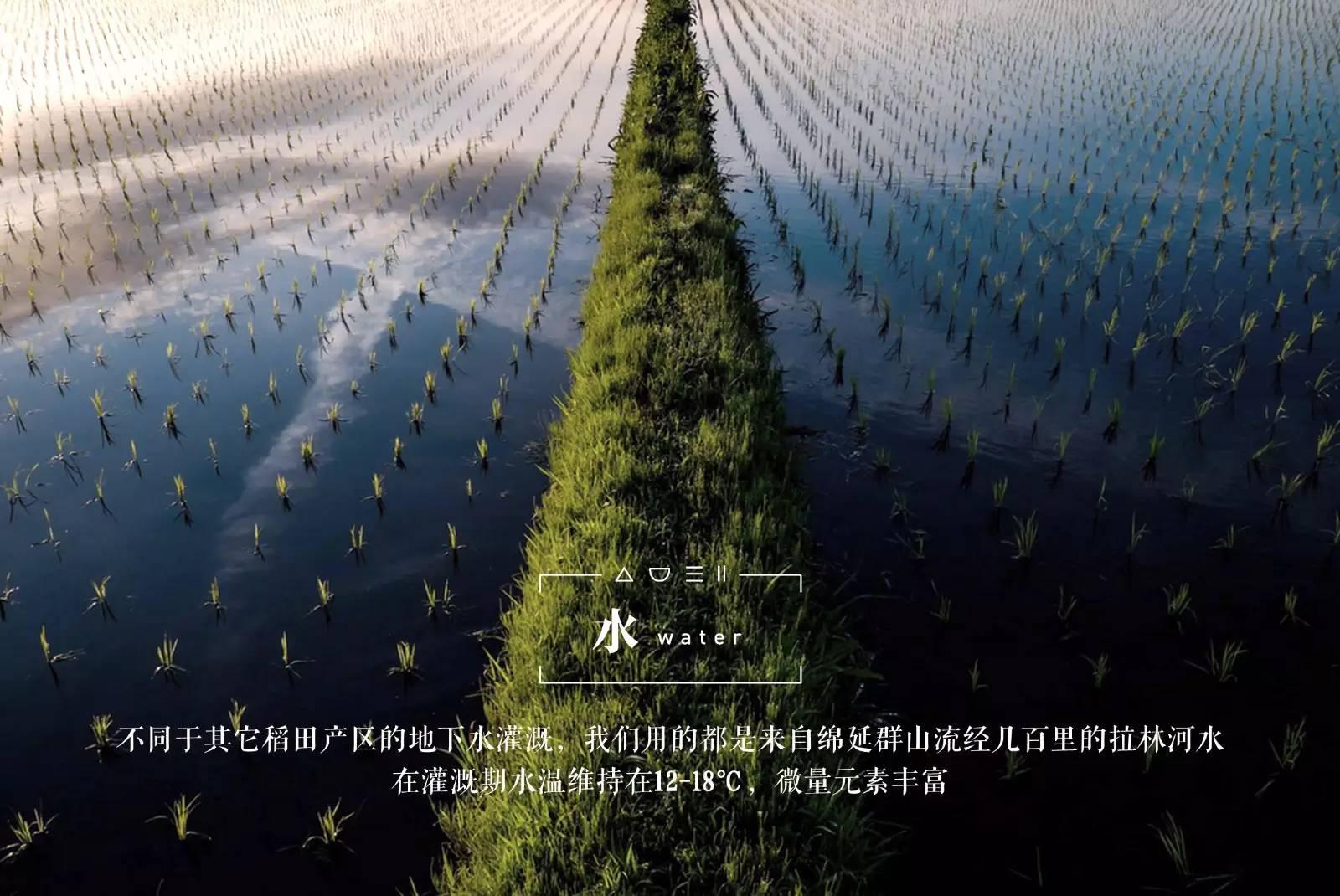 脚气病人的福音,脚气病患者的福音