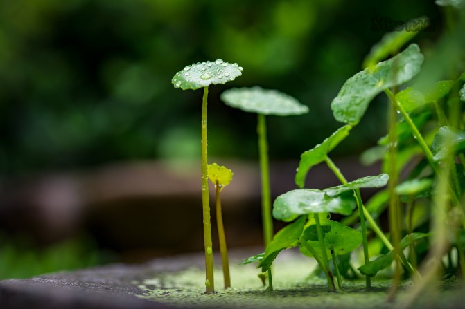 在这座神山中，我们每个人都是武林高手