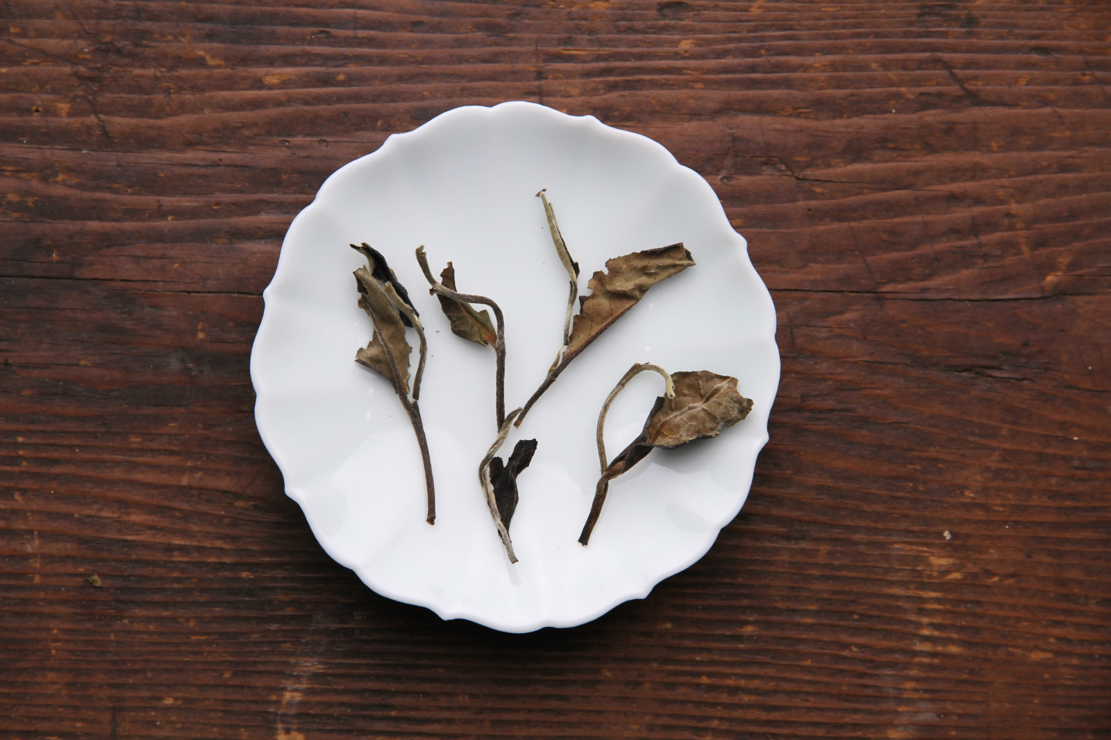 喂，福建白，你们家来了个亲戚叫云南白！