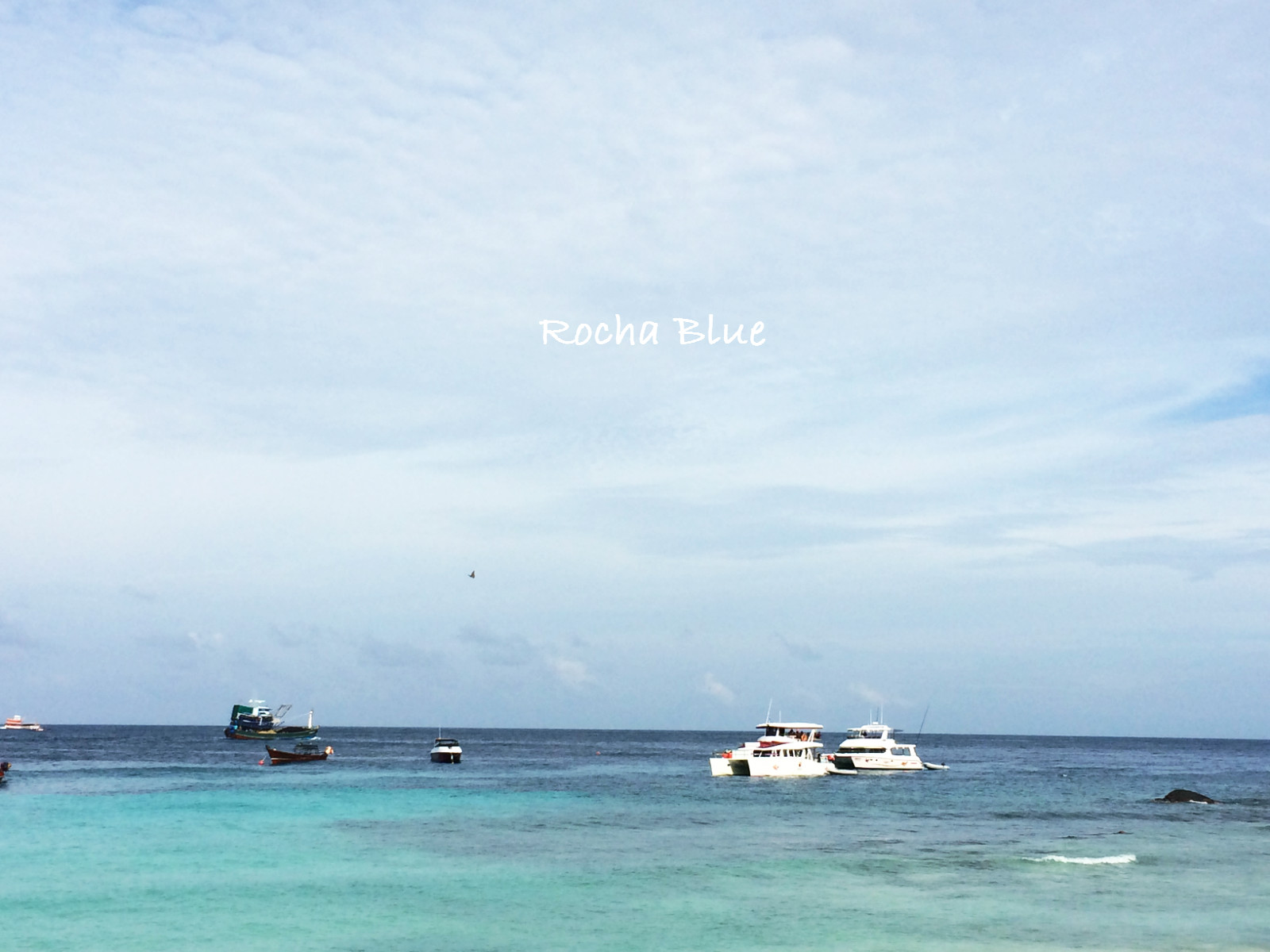 清凉一夏给你5个必去宿雾的理由,清凉一夏不需要太多理由