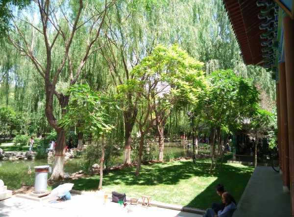 爸爸去哪儿旅游打卡,爸爸去哪儿宁夏中卫沙坡头