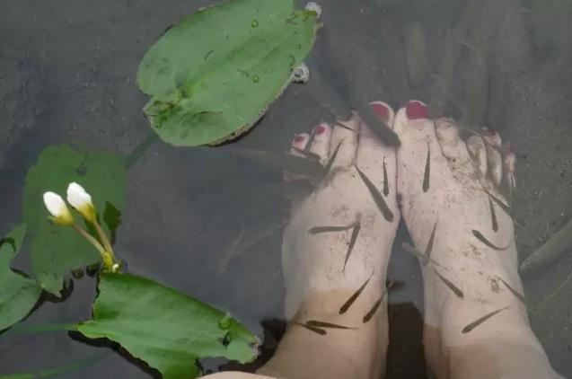 被遗忘的海南,海南被遗忘的浪漫之地