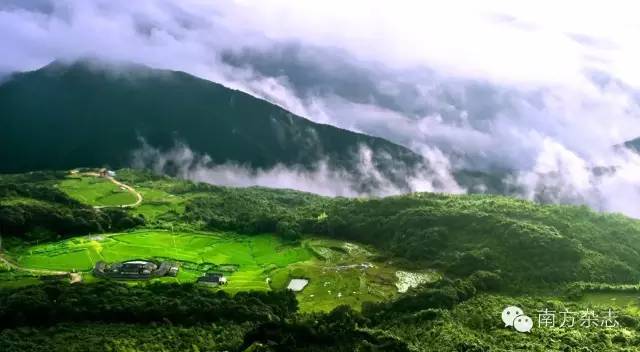 丰顺和大埔,大埔丰顺篮球比赛