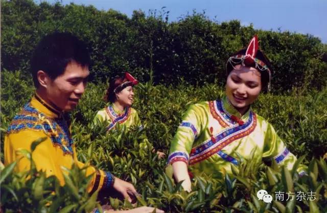 丰顺和大埔,大埔丰顺篮球比赛