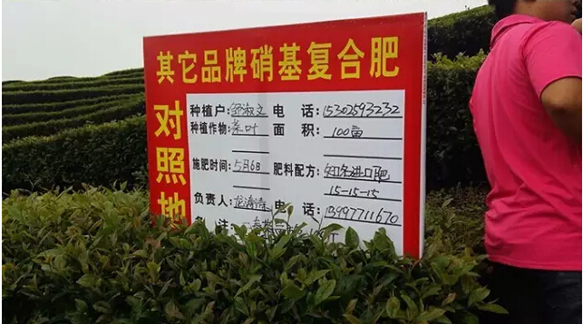 婀栧寳鏋濇睙涓夊畞,婀栧寳涓夊畞濂藉悧