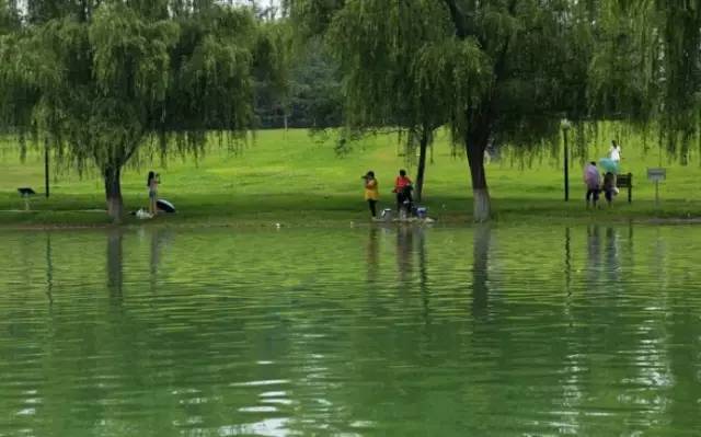 黄河小浪底观瀑节最详尽的吃喝玩乐攻略！错过再等明年！