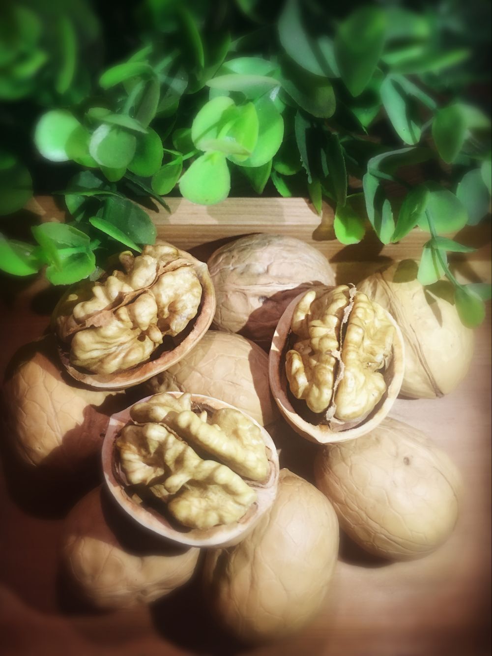 疆产核桃仁,新疆核桃和普通核桃的区别