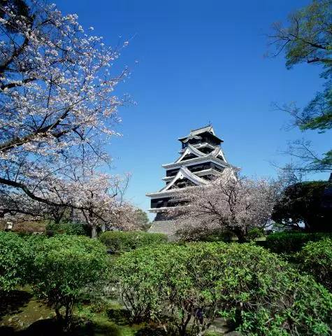 一只有钱的熊生赢家！