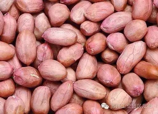 *力暴**梅来袭！园区人请收好这份防霉攻略，全是专家推荐的干货！