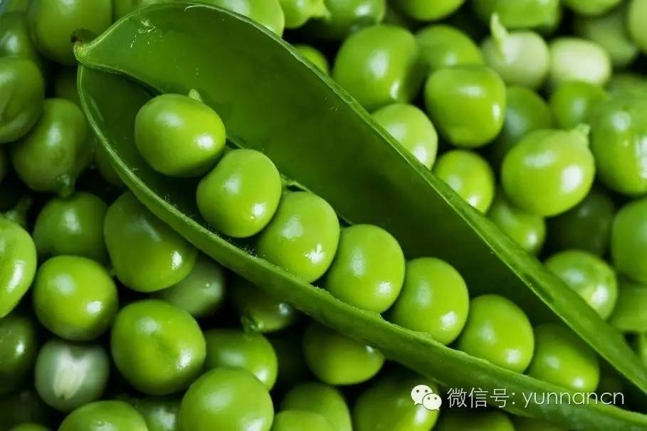 爆竹爆炸小孩受伤,儿童玩杀虫剂爆炸事件