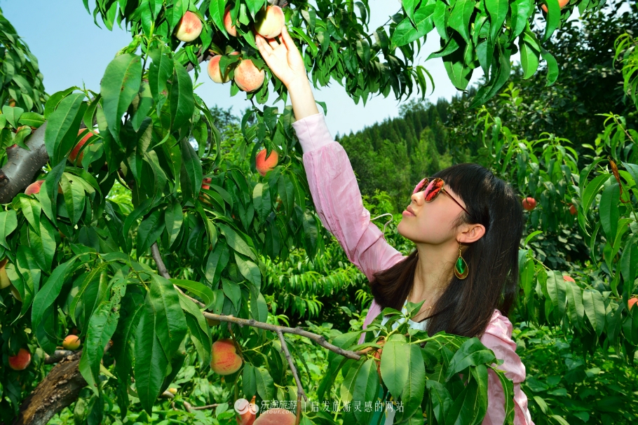 红石沟油菜花,红石沟秋景
