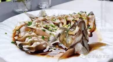 清蒸鱼哪种鱼好吃又营养,清蒸比较好吃营养少刺的鱼