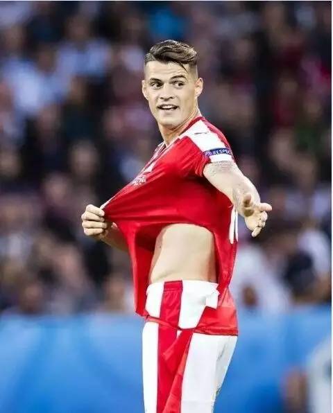 瑞士队视频,瑞士牧羊犬幼犬怎么看纯不纯