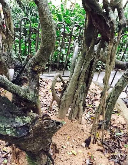 被遗忘的海南,海南被遗忘的浪漫之地