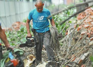 腰插*刀砍**足蹬脚扣“都市伐木人”从山野转战街巷