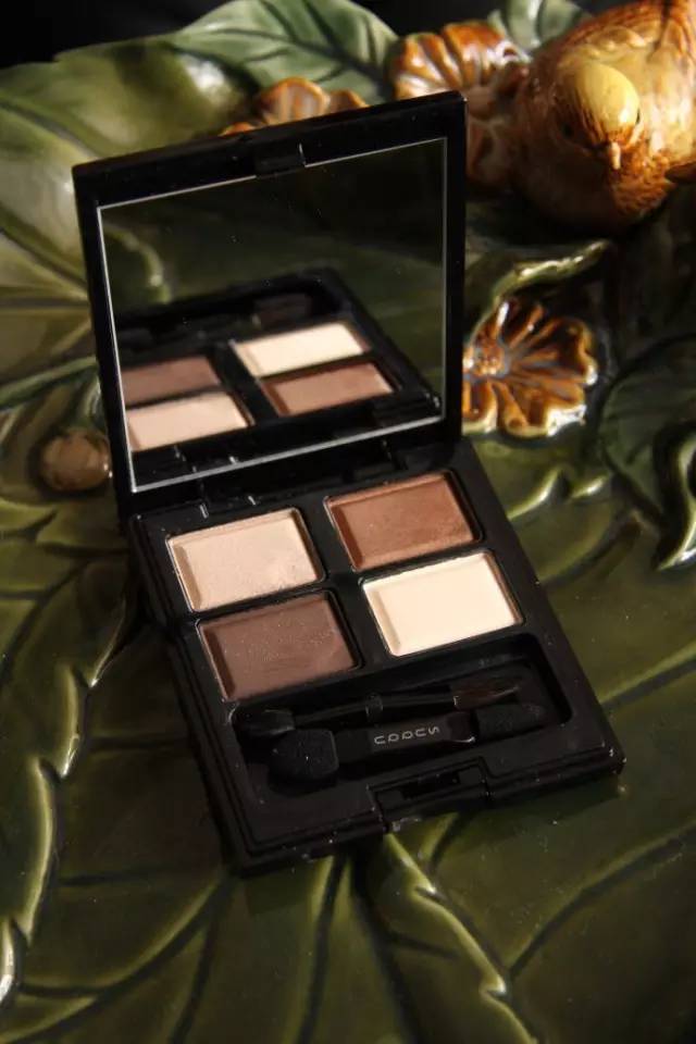 也不是非画不可，知道suqqu像银河系一样美就够了