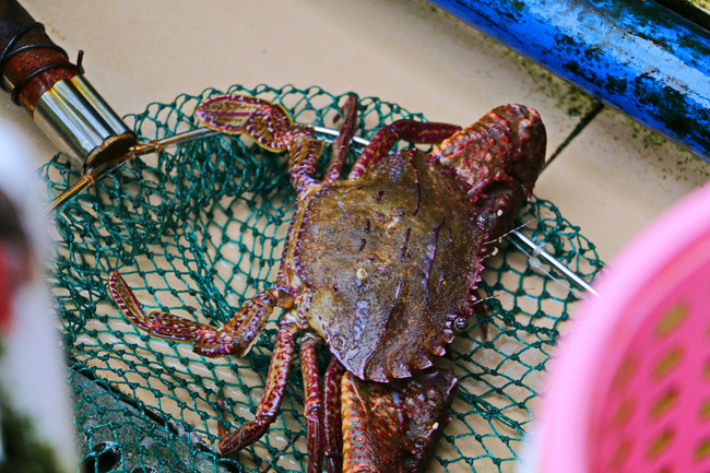 用味蕾感受爱情的酸甜苦辣,用味蕾感受美食独特的魅力