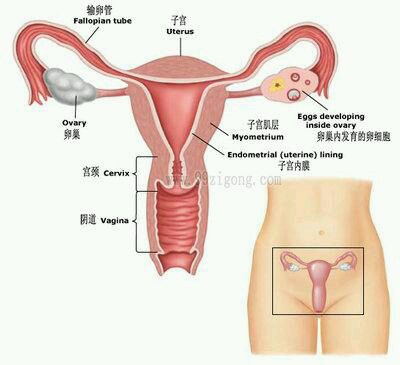 女性常见的妇科炎症有哪些,女性妇科炎症反复跟男人有关系吗