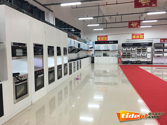 17年风雨相伴：我的德意情怀