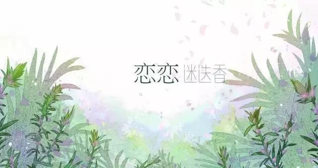 种一盆香水熏衣草，然后把它变成花糖和饼干！