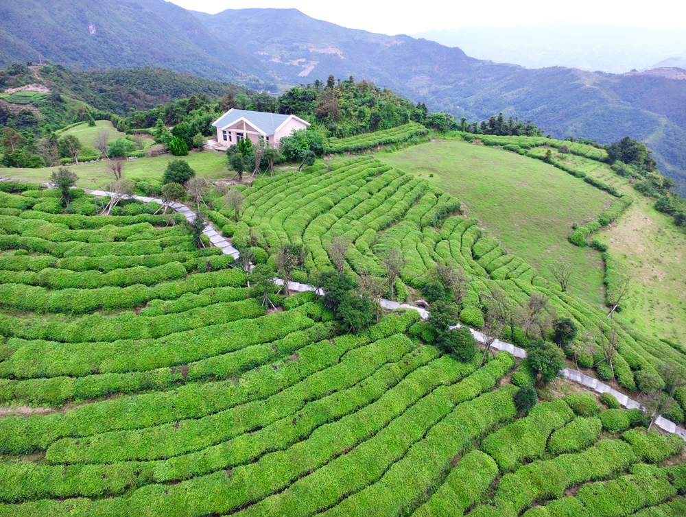 上帝之眼看东营,上帝之眼俯瞰众生