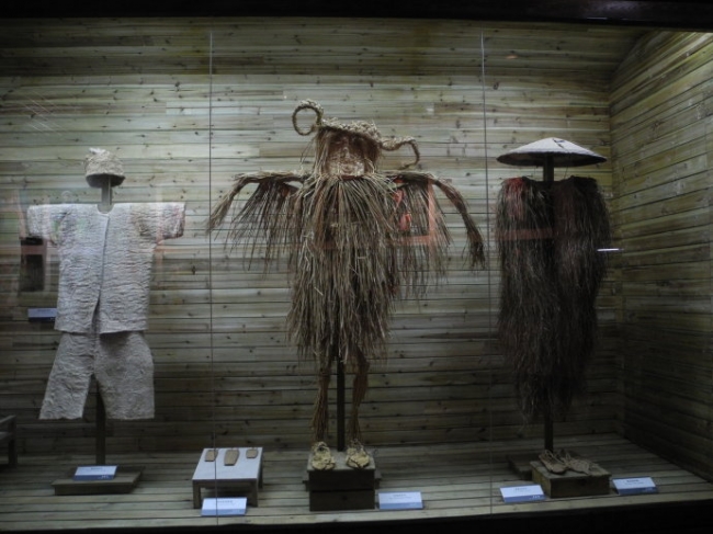 高洪波国足,国足本土教练高洪波