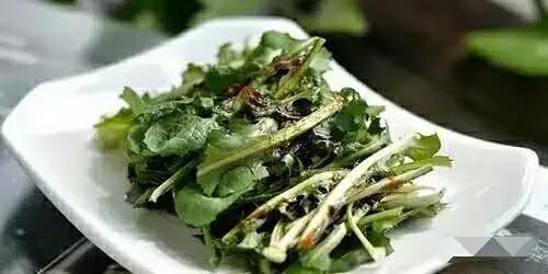 农村哪些野菜可用来治癌,田间杂草抗癌配方