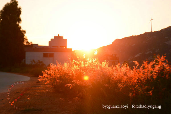 别让水印成为尴尬－摄影早自习第84日