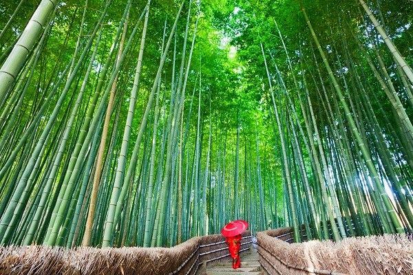 大妈暴瘦56斤变成辣妈,产后如何从大妈变回辣妈