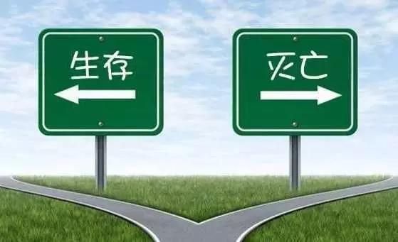 为什么淘品牌的“集体婚礼”，却不见资本的狂欢