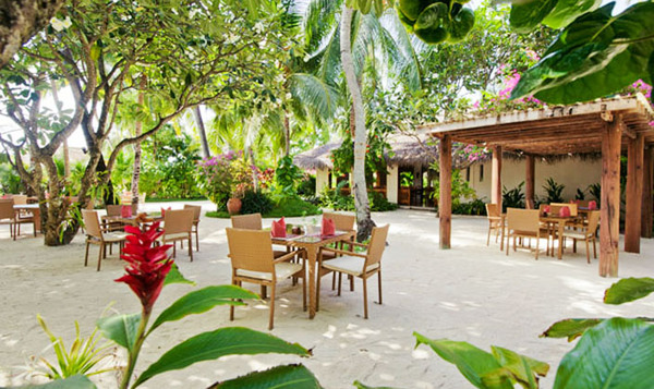 美佳航空的飞机,马代库拉玛蒂kuramathi价格