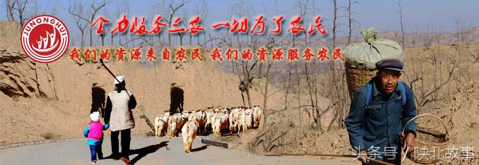 陕北香谷油小米,陕北香谷小米好不好