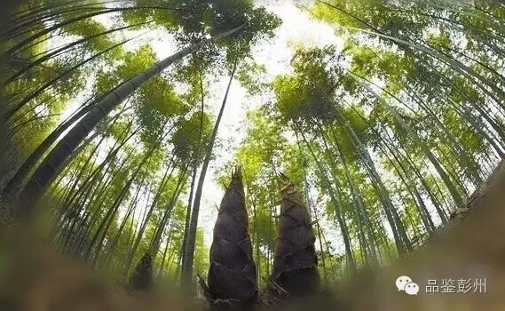 为了来彭州，彭山人笑了；为了来彭山，彭州人笑了