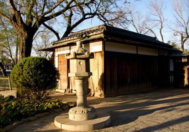 天津最迷人的樱花雨，愿你在花中起舞！