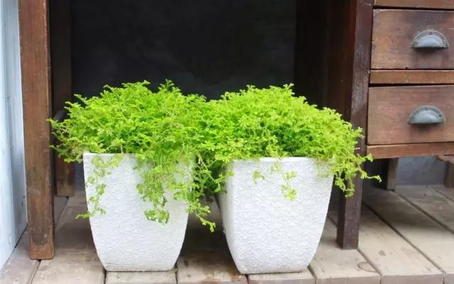 用十年“食光”，去结交一座城