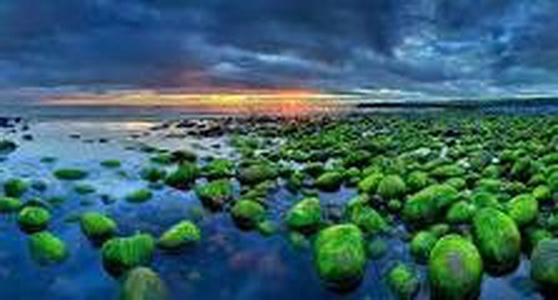 冰岛可以说是一个敢吃的国家,冰岛究竟是一个什么样的国家