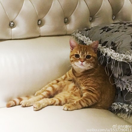 鹿晗已被大张伟传染带弯~《我去上学啦》正确示范“北京瘫”