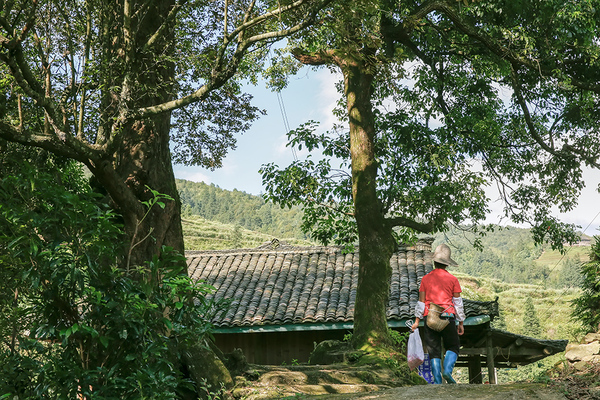 用文火煨制的美酒你听过见过尝过吗