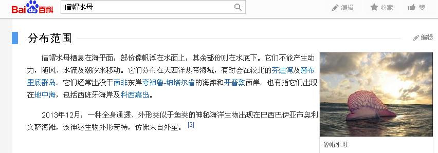 一海滩惊现毒水母,剧毒水母被蛰了