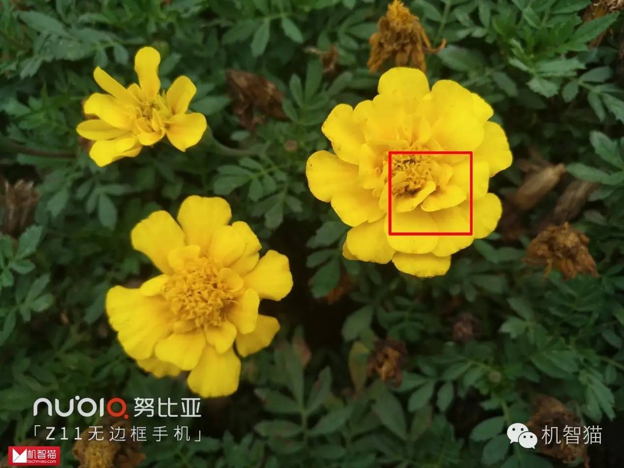 nubia努比亚z60测评,nubiaz11无边框