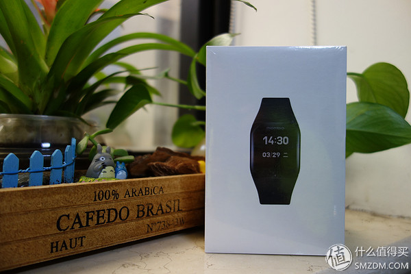 乐心智能手表,乐心手表watch怎么样