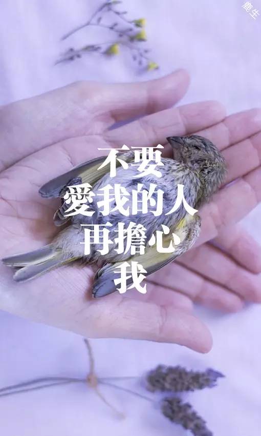 立解胃痛，气色红润见老妈