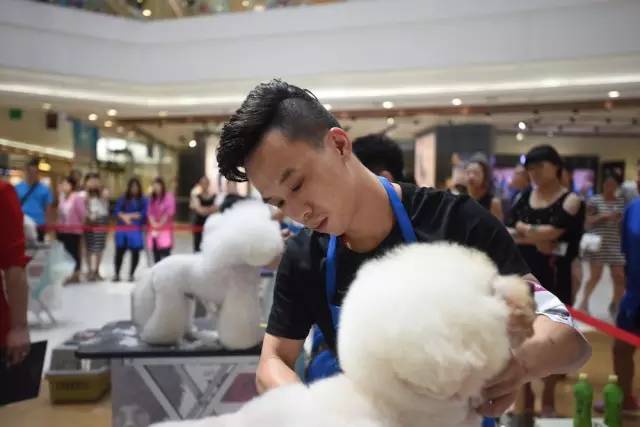 “源食”第五届中国宠物造型达人秀——哈尔滨赛区报道